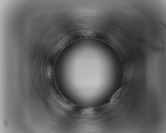 X0000100880132200806271147