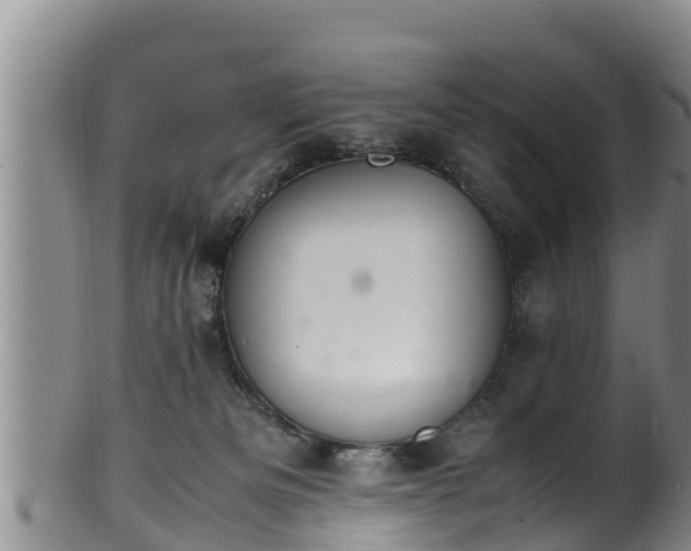 X0000100880133200806271147