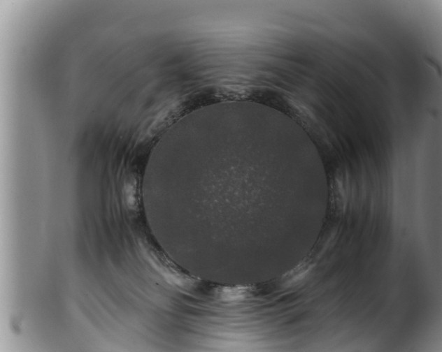 X0000100880134200806271147