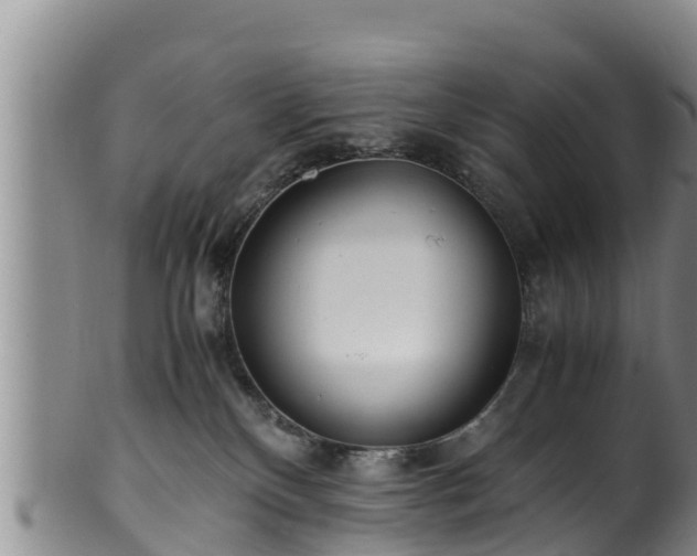 X0000100880136200806271147