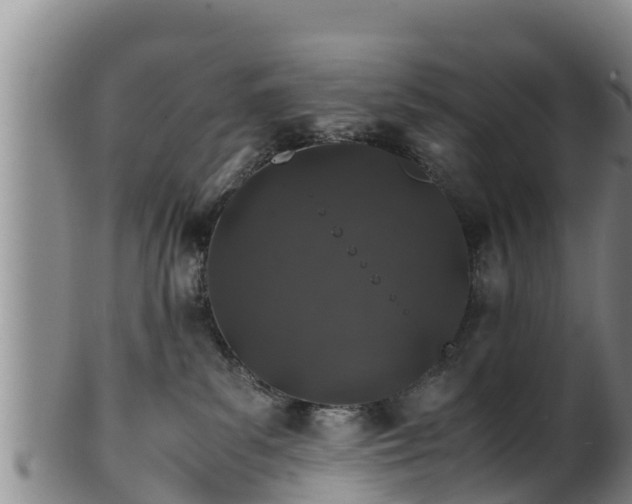 X0000100880139200806271147