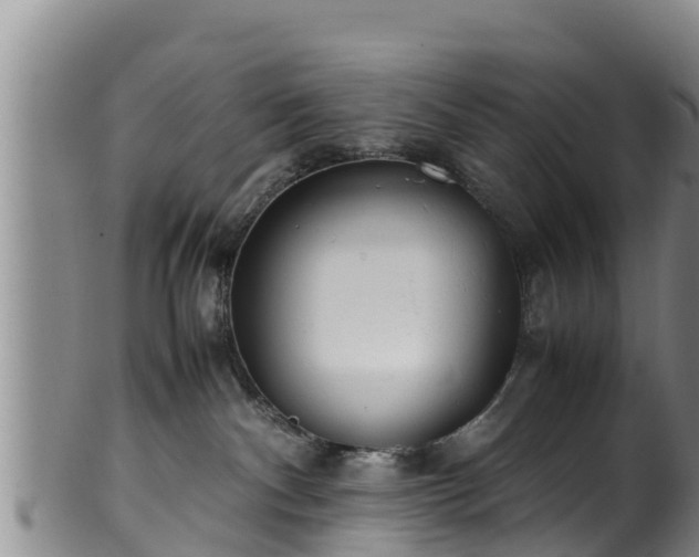 X0000100880140200806271147