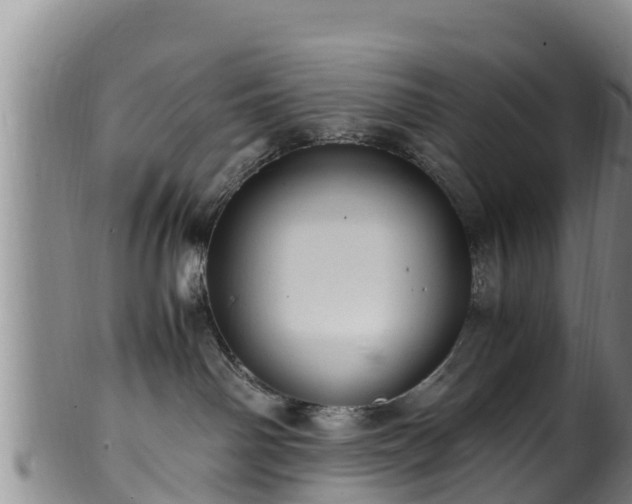 X0000100880142200806271147