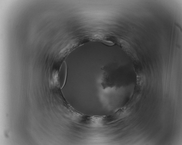 X0000100880143200806271147