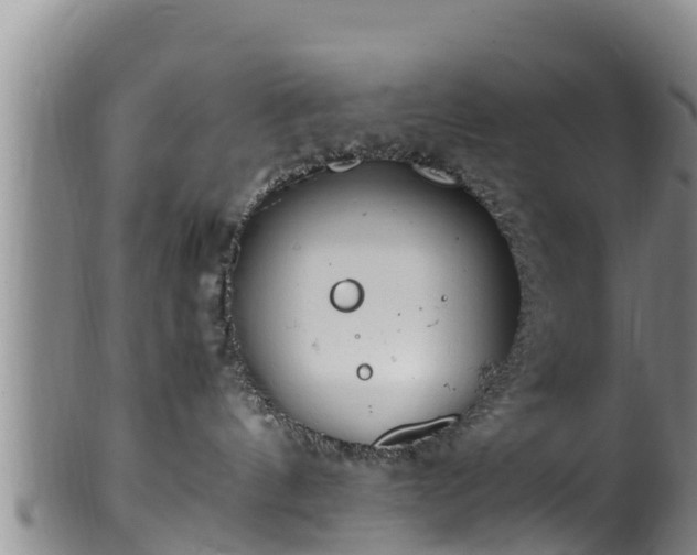 X0000100880144200806271147