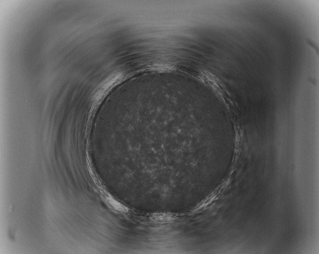 X0000100880145200806271146