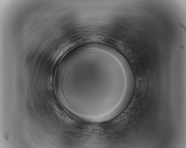 X0000100880146200806271146