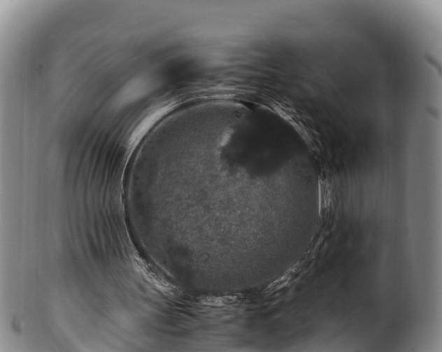 X0000100880147200806271146