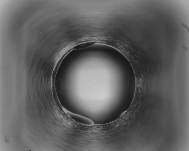 X0000100880148200806271146