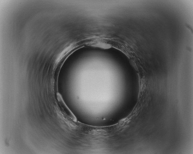 X0000100880150200806271146