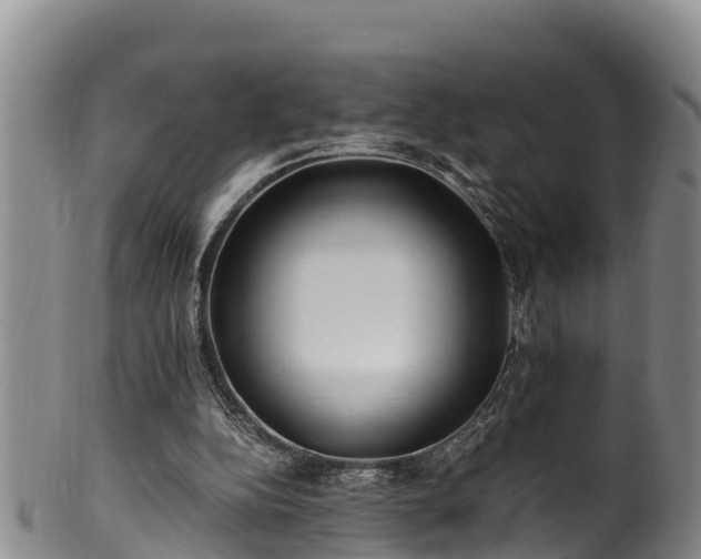 X0000100880152200806271146