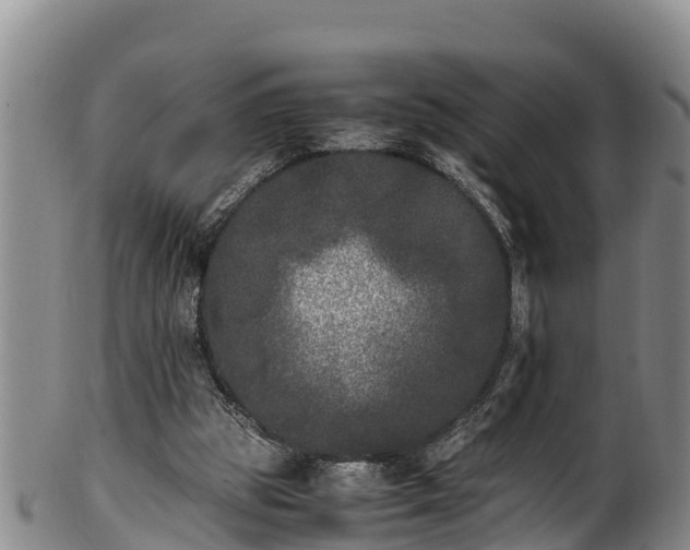 X0000100880153200806271146