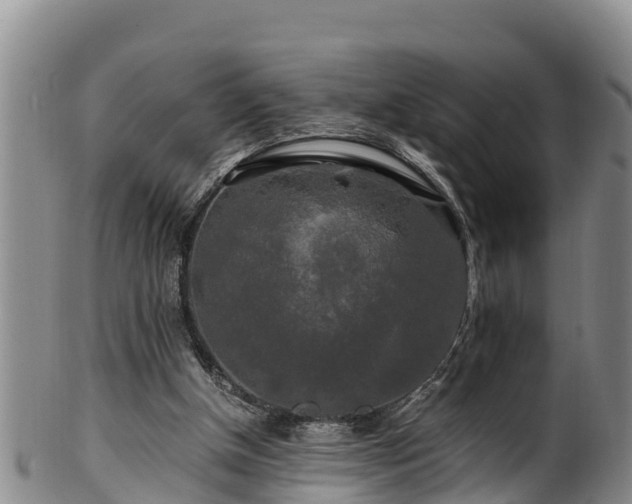 X0000100880154200806271146