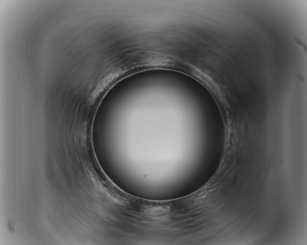 X0000100880155200806271146