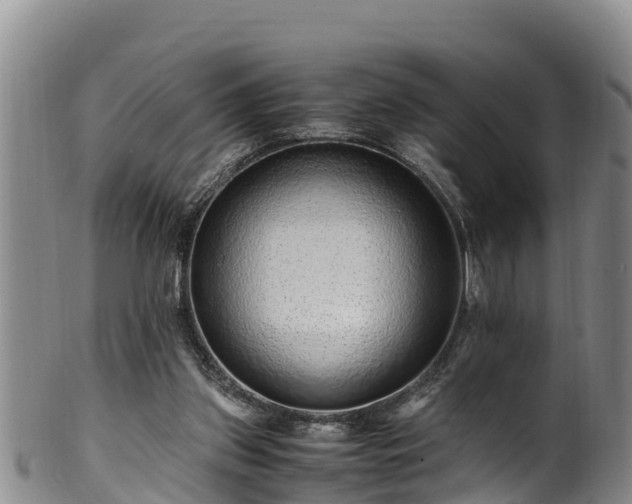 X0000100880157200806271146