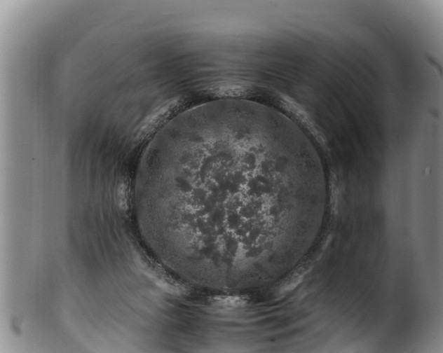 X0000100880161200806271146