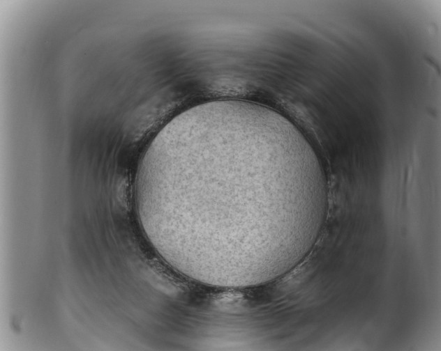 X0000100880162200806271146