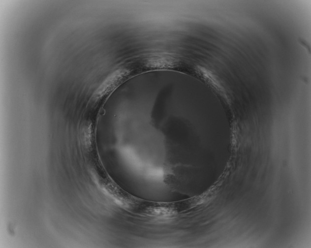 X0000100880163200806271146