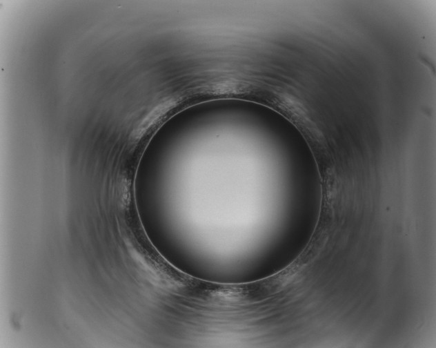 X0000100880164200806271146