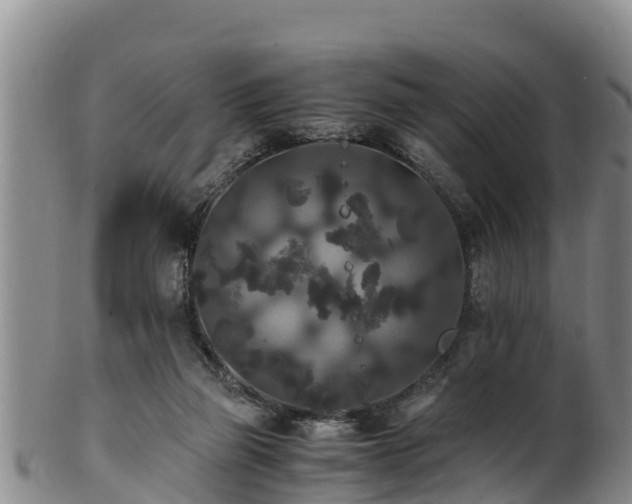 X0000100880165200806271146