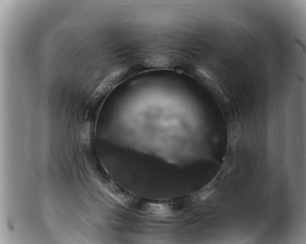 X0000100880167200806271146