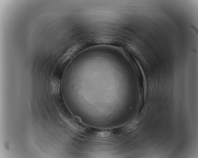 X0000100880168200806271146