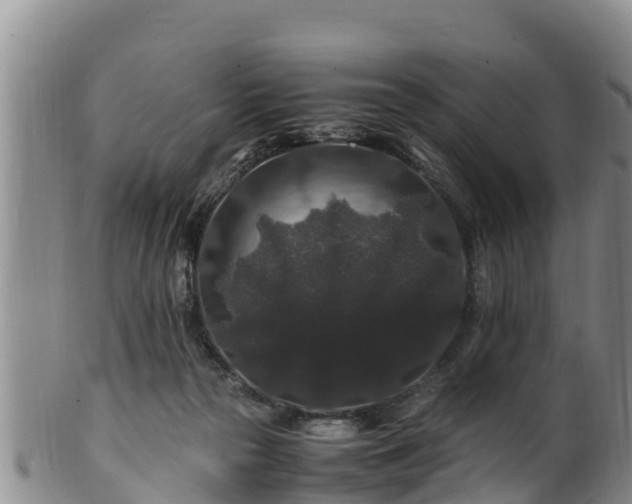 X0000100880169200806271146