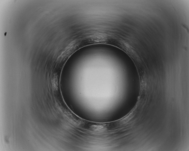 X0000100880170200806271146