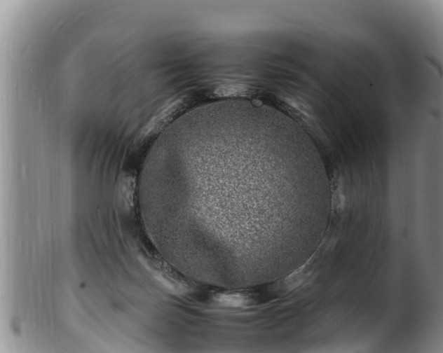 X0000100880171200806271146