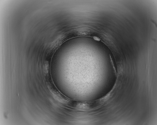 X0000100880174200806271146