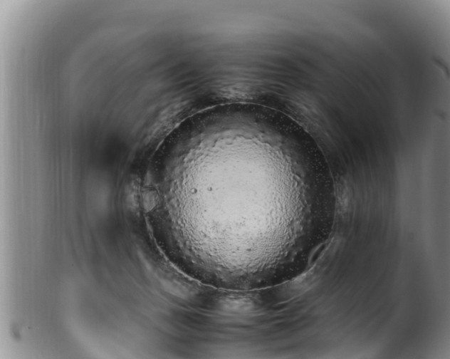 X0000100880175200806271146