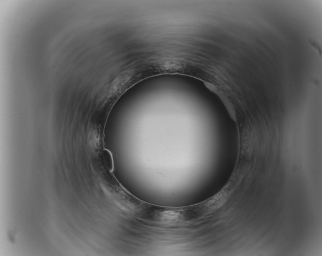 X0000100880176200806271146