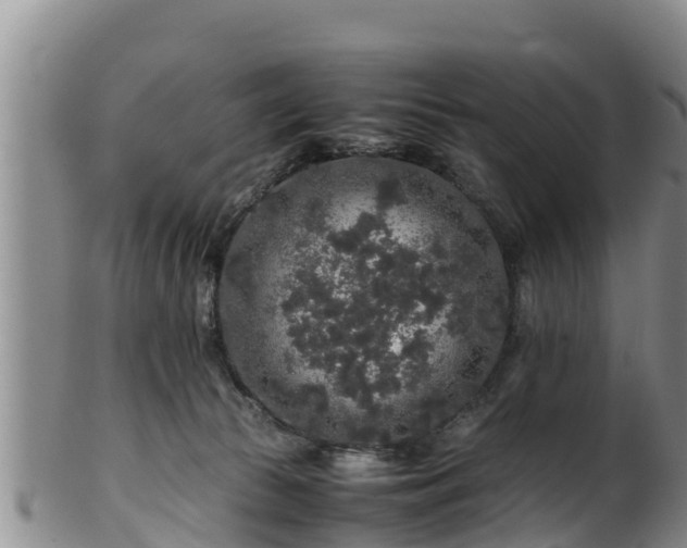 X0000100880177200806271146