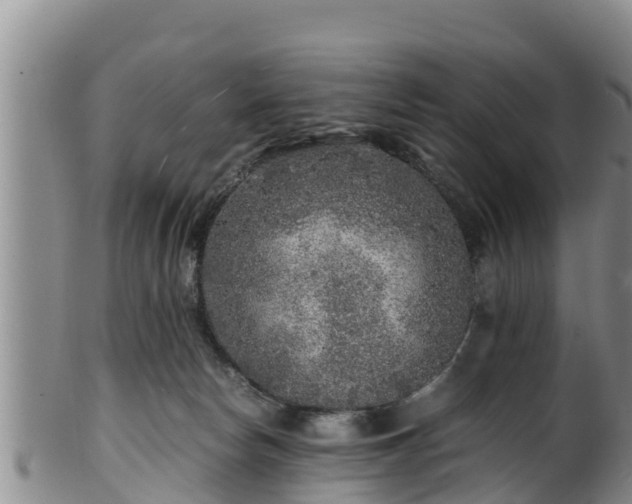 X0000100880178200806271146