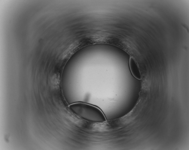 X0000100880179200806271146