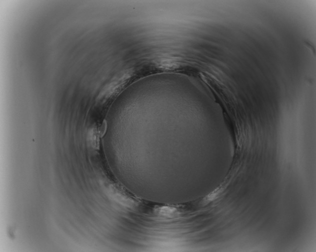 X0000100880180200806271146