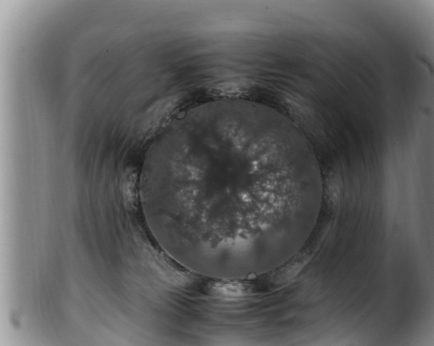 X0000100880181200806271146