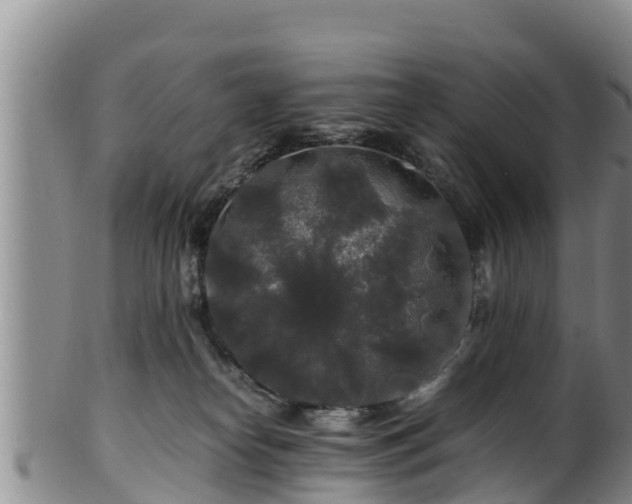 X0000100880182200806271147