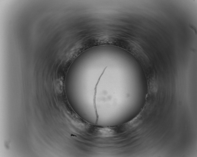 X0000100880183200806271147