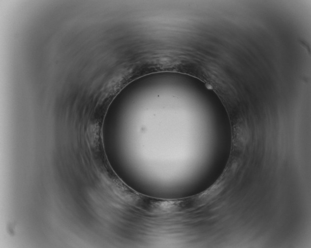 X0000100880184200806271147