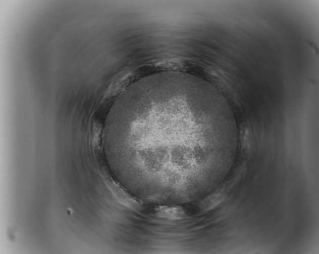 X0000100880185200806271147