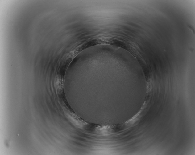 X0000100880186200806271147