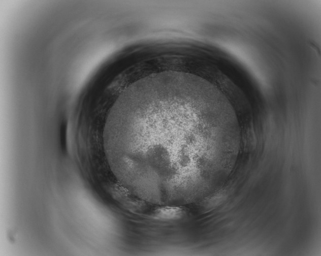 X0000100880189200806271147