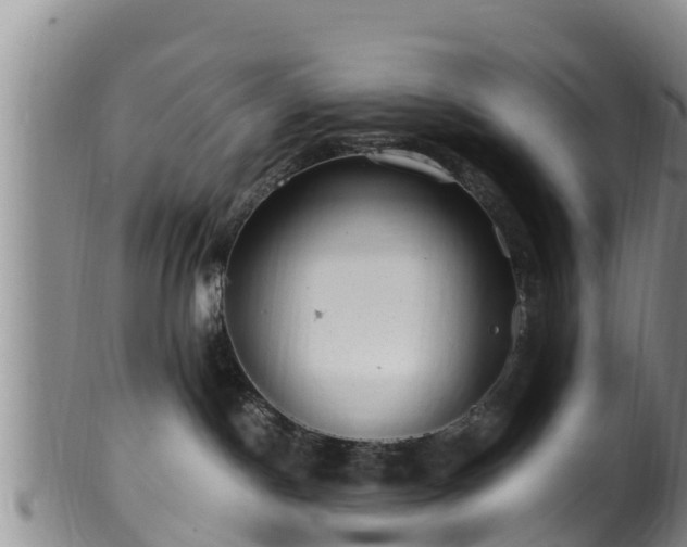 X0000100880190200806271147