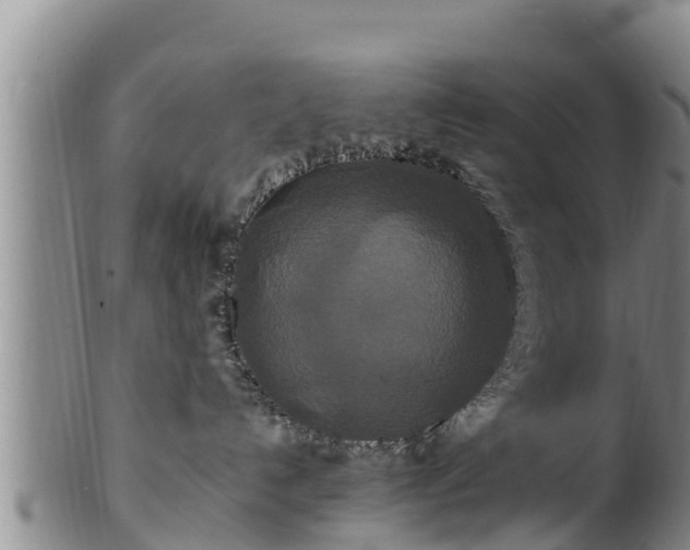 X0000100880192200806271147