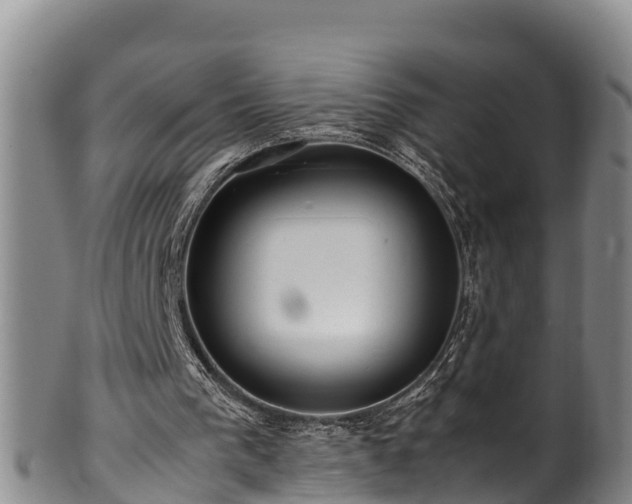 X0000100880193200806271146