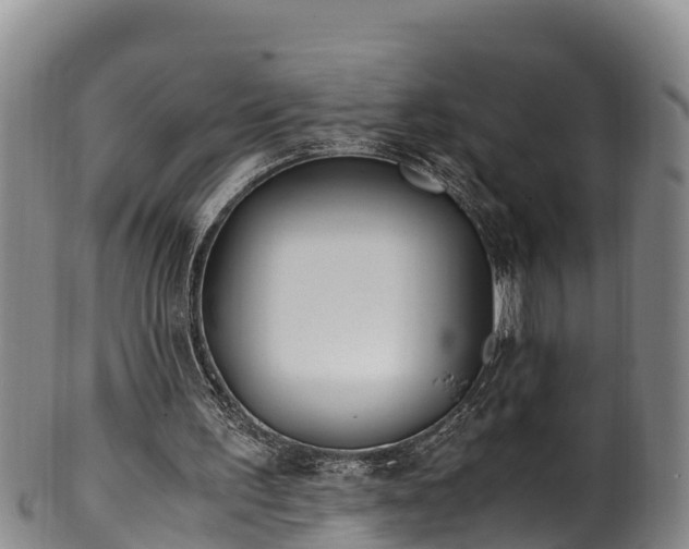 X0000100880195200806271146