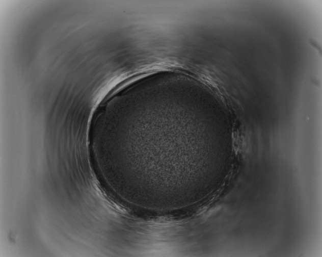 X0000100880196200806271146