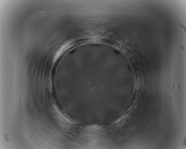 X0000100880198200806271146