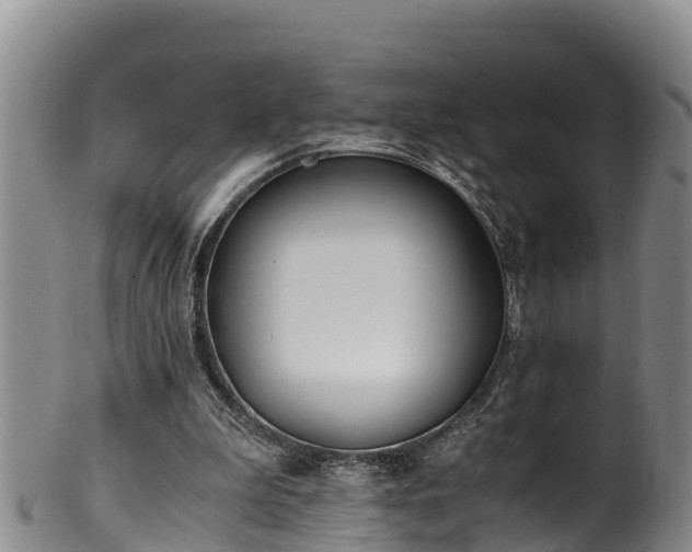 X0000100880199200806271146